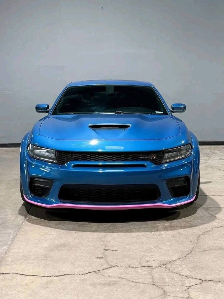 2020 Dodge Charger ScatPack Widebody